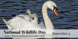 national-wildlife-day-september-4